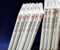 小说集《非法入住》
