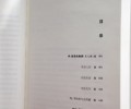 小说集《非法入住》