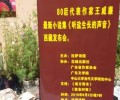 小说集《听盐生长的声音》